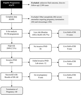 Performance of Serum Quad Test in Screening for Fetal Down Syndrome in a Large-Scale Unselected Population in a Developing Country